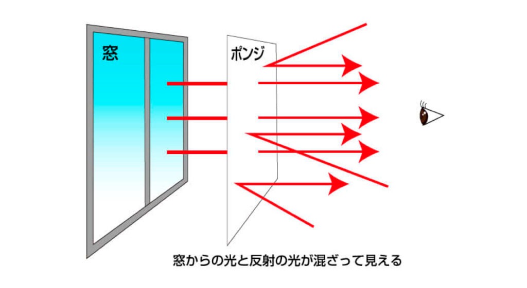 光を反射する白色のポンジ